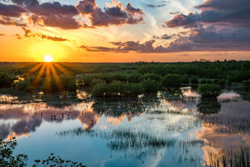Everglades Sunset Reflected - image #451941 gratis