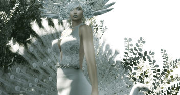 LOTD 85: Feathers (new releases & gifts) - image #452171 gratis