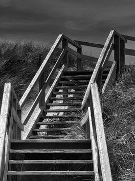 Sylt dune bridge - Free image #454361