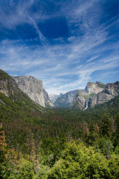 Yosemite National Park in California - image #455591 gratis