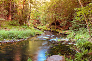 Peaceful scene of a small river - бесплатный image #455651
