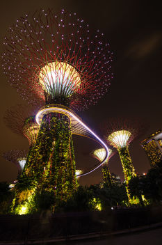 Singapore Super tree groove in Gardens by the bay - image #455941 gratis
