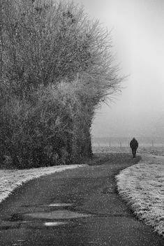 One who walks alone can sometimes reach places that no one has ever reached. - Free image #458011
