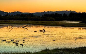 Wetland sunrise - image #458161 gratis