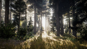 Far Cry 5 / Sunny Day - бесплатный image #458771