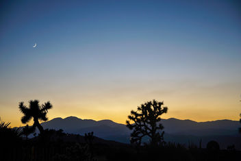 Mojave Warmth. - image gratuit #459071 