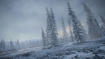 TheHunter: Call of the Wild / Snow Is Coming In - Kostenloses image #459121