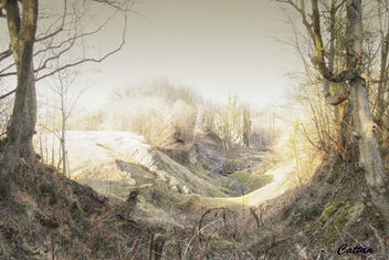 Wren's nest, Dudley, England - бесплатный image #459361