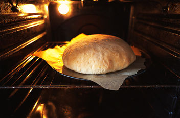 Baking Bread at Home - Free image #460131
