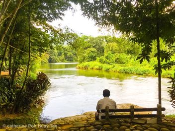 Kelvin River, Kitulagala, Sri Lanka - Kostenloses image #463601