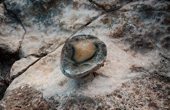 Piedra o huevo - Kostenloses image #463741