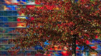 Autumn extravaganza - image #465241 gratis