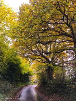 Chorley, Burntwood, England - Free image #465401