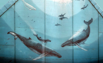 Whaling Wall of Toronto - image gratuit #465461 