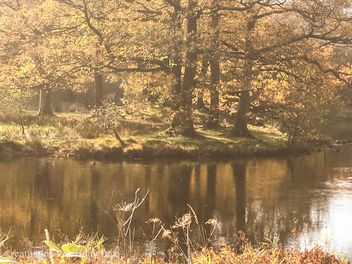 Rydal Water, Ambleside, Lake District - image #465571 gratis