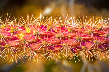 Spiky Fireworks - Kostenloses image #467721