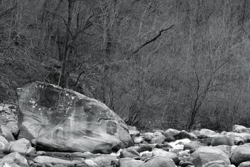 (River), stones and trees. Best viewed full resolution - бесплатный image #468531