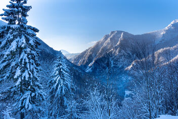 Winter Mountains - Kostenloses image #469231