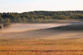 Misty morning - Free image #473171