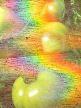 Rainbows tomatoes - image gratuit #474521 