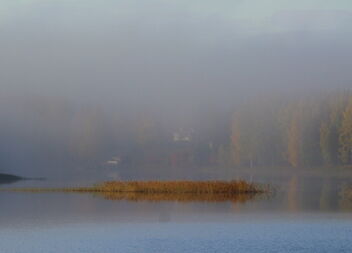 Misty morning - бесплатный image #475551