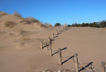 Dunes in wintertime - Free image #478841