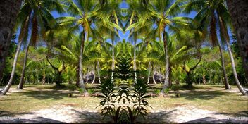 Tropical paradise Realm - Merging Palmtrees side - PicsArt - 10_02_2021 10_58_28 - Free image #478921
