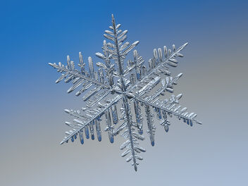Snowflake - image #484271 gratis