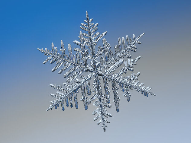 Snowflake - Free image #484271