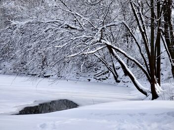 Winter Stillness - Kostenloses image #488041