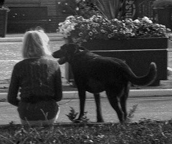 Canine and Friend - image #492701 gratis
