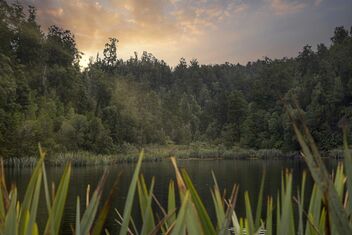 Lake Matheson, NZ - бесплатный image #492931