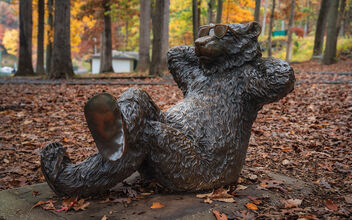 This Bear's Got His Fall Chill On - image #493981 gratis