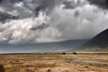Low Cloud Ngorongoro Crater - Kostenloses image #497191