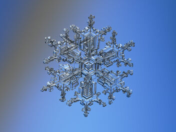 Snowflake 2018-02-05_6989-97 - Kostenloses image #500791