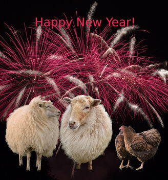 Happy New Year! - image gratuit #503011 