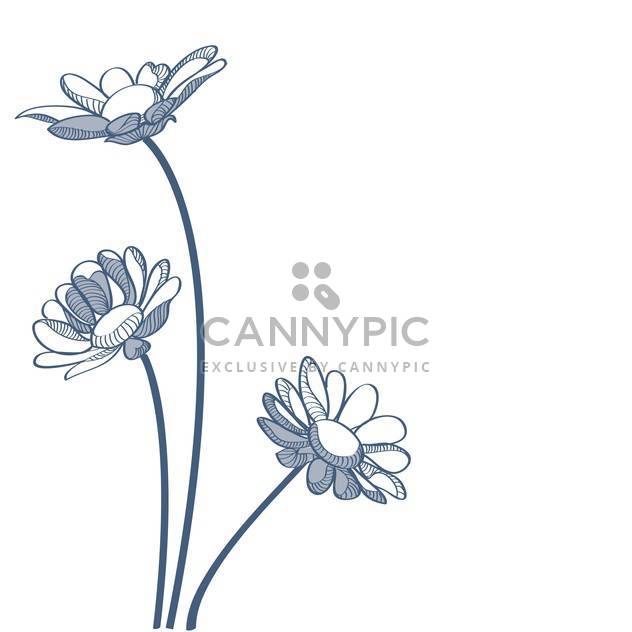 Vector illustration of blue camomiles on white background - vector #127271 gratis