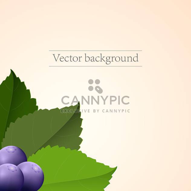 Vector ripe blueberries on pink background - vector #127631 gratis