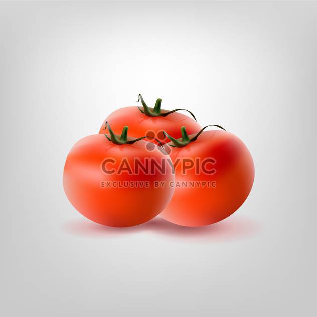 Vector illustration of three red tomatoes on white background - vector #128931 gratis