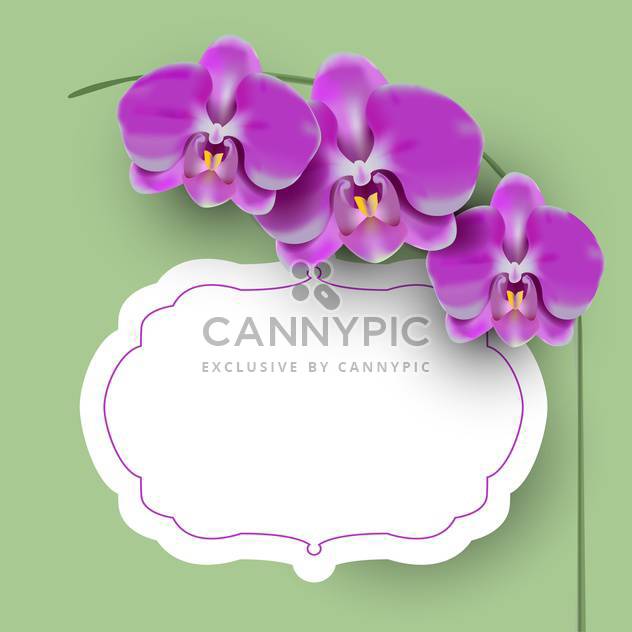 Vector illustration with floral frame - Free vector #131571