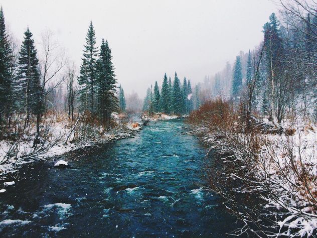 Creek in winter forest - бесплатный image #136371