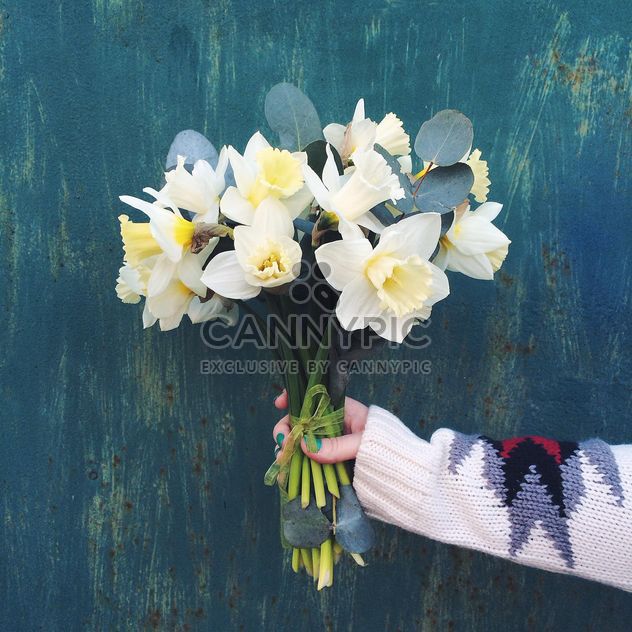 Bouquet of daffodils in female hand - image #136531 gratis