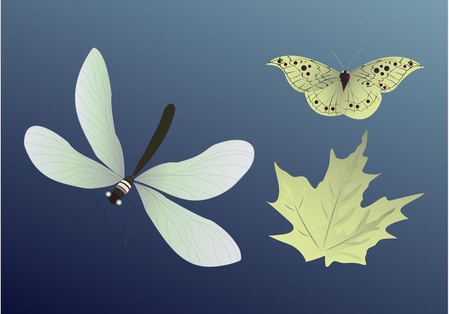 Insects And Leaf - бесплатный vector #145681