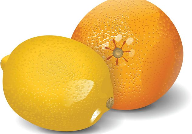 Lemon & Orange Vector - vector #147511 gratis