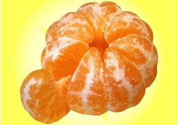 Tangerine - vector #147861 gratis