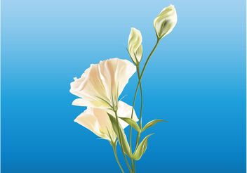 Realistic Flowers - Free vector #152691