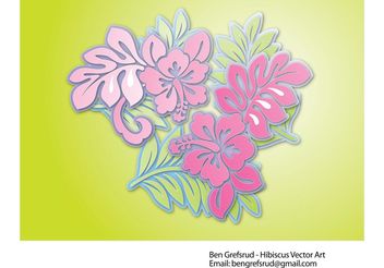 Hibiscus Flowers Vector - vector gratuit #152971 