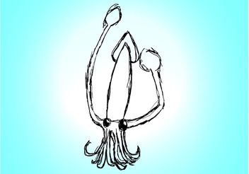Squid Drawing - vector #156751 gratis