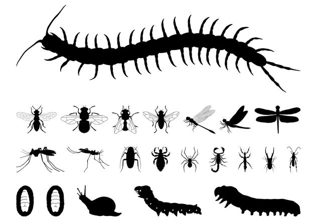 Insects Silhouettes Set - vector gratuit #157601 