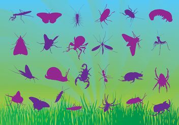 Free Insects Vectors - Kostenloses vector #157611